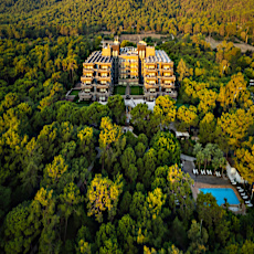 Balmy Foresta